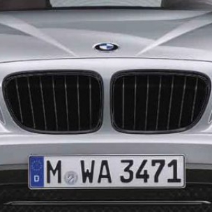 Решетки радиатора Performance X1